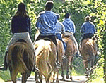 [Horse Riding in the Natural Reserves]
